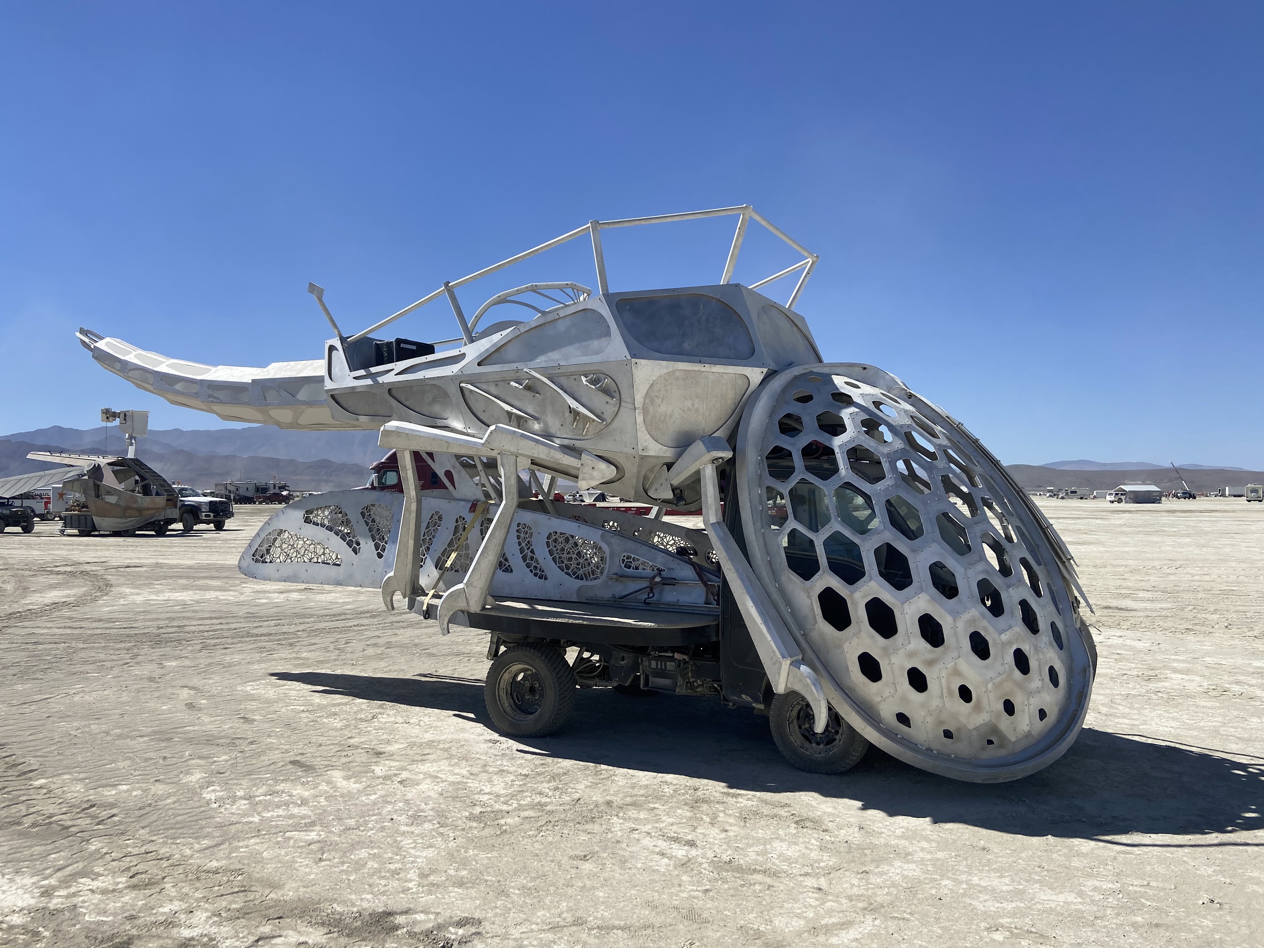 Journey of the Desert Dragonfly — experience