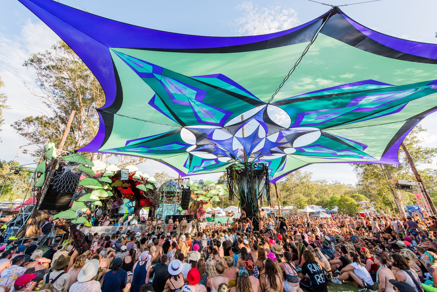 Psychedelic Forest